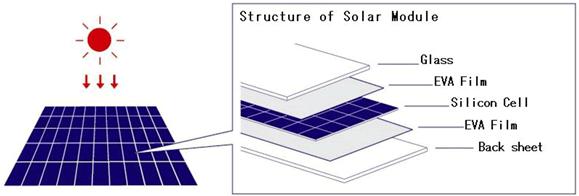 1295430972_5.JPG